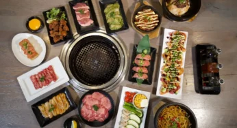 Izakaya Chains in Japan: Range of Japanese Cuisine