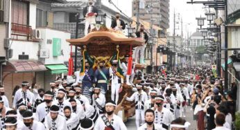 Exploring Kishiwada: Danjiri Festival, Castle, and More!