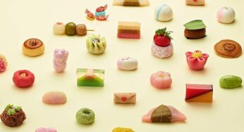 Japanese Desserts: Discover the World of Wagashi and Mochi